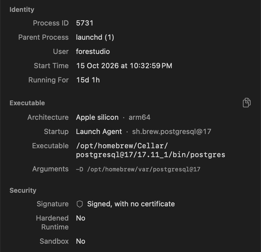 Die Seitenleiste für postgres: launchd als übergeordneter Prozess, Launch Agent sh.brew.postgresql@17 unter „Start“, seine ausführbare Datei und Argumente, signiert ohne Zertifikat