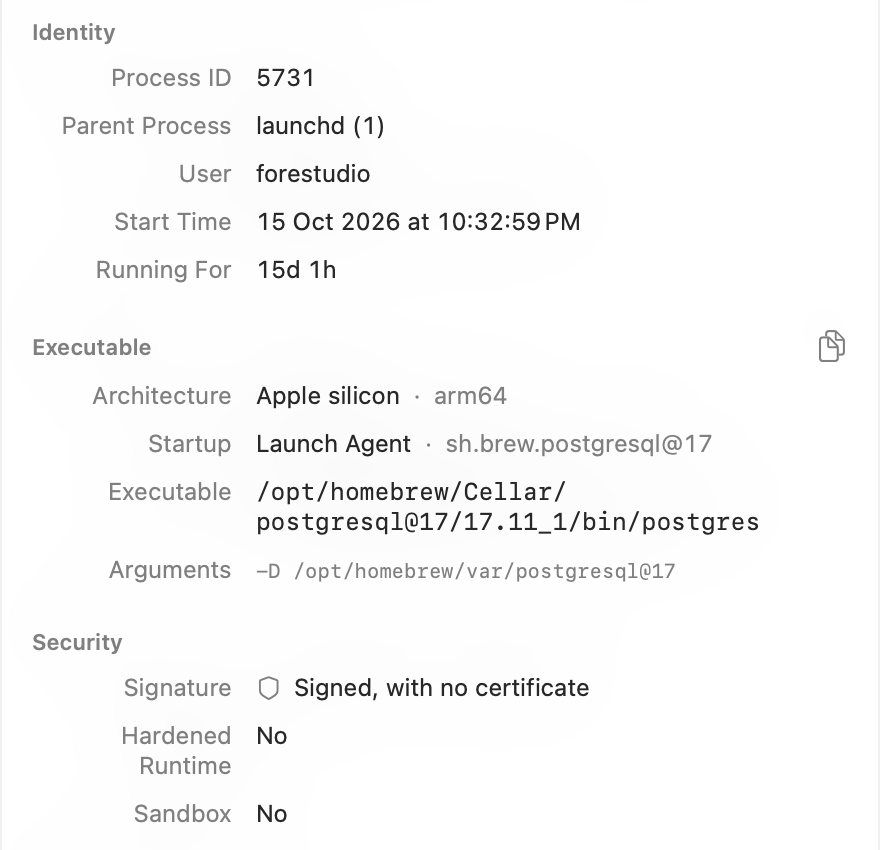 Die Seitenleiste für postgres: launchd als übergeordneter Prozess, Launch Agent sh.brew.postgresql@17 unter „Start“, seine ausführbare Datei und Argumente, signiert ohne Zertifikat