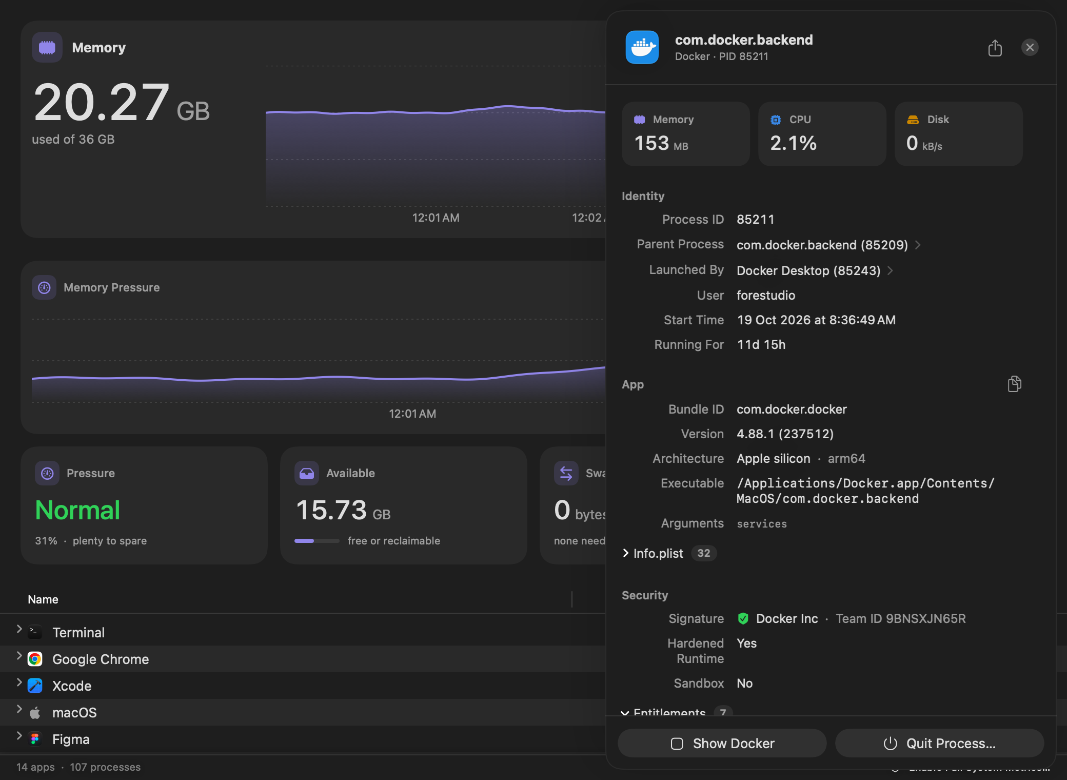 Der Tab „Speicher“ mit einer offenen Seitenleiste für com.docker.backend: sein übergeordneter Prozess, die App, die ihn gestartet hat, seine Version, Befehlszeile und Codesignatur