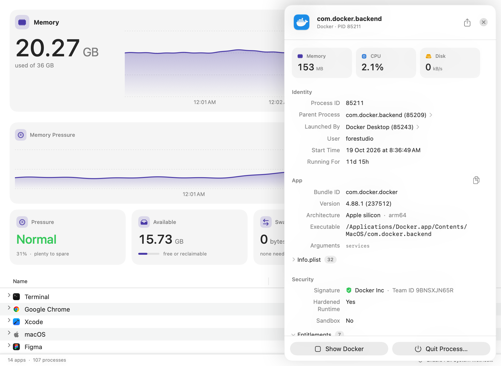Der Tab „Speicher“ mit einer offenen Seitenleiste für com.docker.backend: sein übergeordneter Prozess, die App, die ihn gestartet hat, seine Version, Befehlszeile und Codesignatur